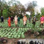 पुनर्गठित मौसम आधारित फसलों का बीमा 16 अगस्त तक