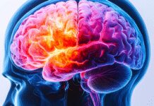 कैल्शियम सप्लीमेंट्स से बुजुर्ग महिलाओं को डिमेंशिया का खतरा नहीं: द लैंसेट