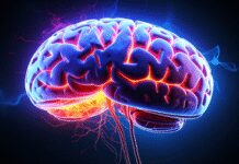 महिलाओं को मल्टीपल स्क्लेरोसिस और अल्जाइमर का खतरा ज्यादा, क्यों?