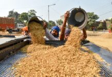 तमिलनाडु में धान की नमी की जांच के लिए केंद्र ने नियुक्त किए विशेषज्ञ दल