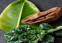 दूध से कई गुना ज्यादा कैल्शियम वाली केल पत्तेदार गोभी है गुणों से भरपूर