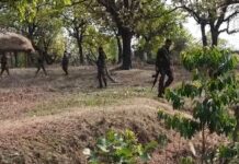 छत्तीसगढ़ : कांकेर में 21 माओवादियों ने किया आत्मसमर्पण, ‘पूना मारगेम’ पहल से हिंसा छोड़ अपनाया शांति का रास्ता
