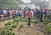 प्रधानमंत्री मोदी ने ‘मन की बात’ में छठ महापर्व को बताया एकता का प्रतीक, हजारीबाग में लोगों में उत्साह