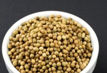 धनिया: सेहत के लिए प्रकृति का एक तोहफा, जो संतुलित रखे तन और मन