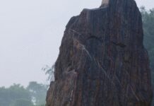 भारत की इंदिरा-निडर, दृढ़ और अटल : दिवंगत प्रधानमंत्री की पुण्यतिथि पर राहुल गांधी ने दी श्रद्धांजलि