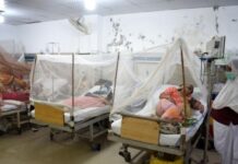 पाकिस्तान में डेंगू बरपा रहा कहर: इस्लामाबाद हो या रावलपिंडी लगातार बढ़ रही संख्या, केपी का हाल बुरा