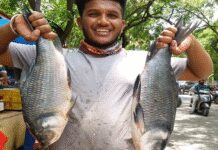 पंजाब: सरकार ने ‘रोहू’ को राज्य मछली घोषित किया