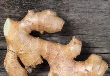अदरक : रसोई का राजा और सेहत का सुपरफूड, आयुर्वेद से जानें फायदे