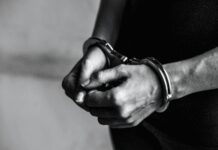 डीआरआई मुंबई ने 47 करोड़ रुपए की कोकीन तस्करी का किया भंडाफोड़, पांच गिरफ्तार